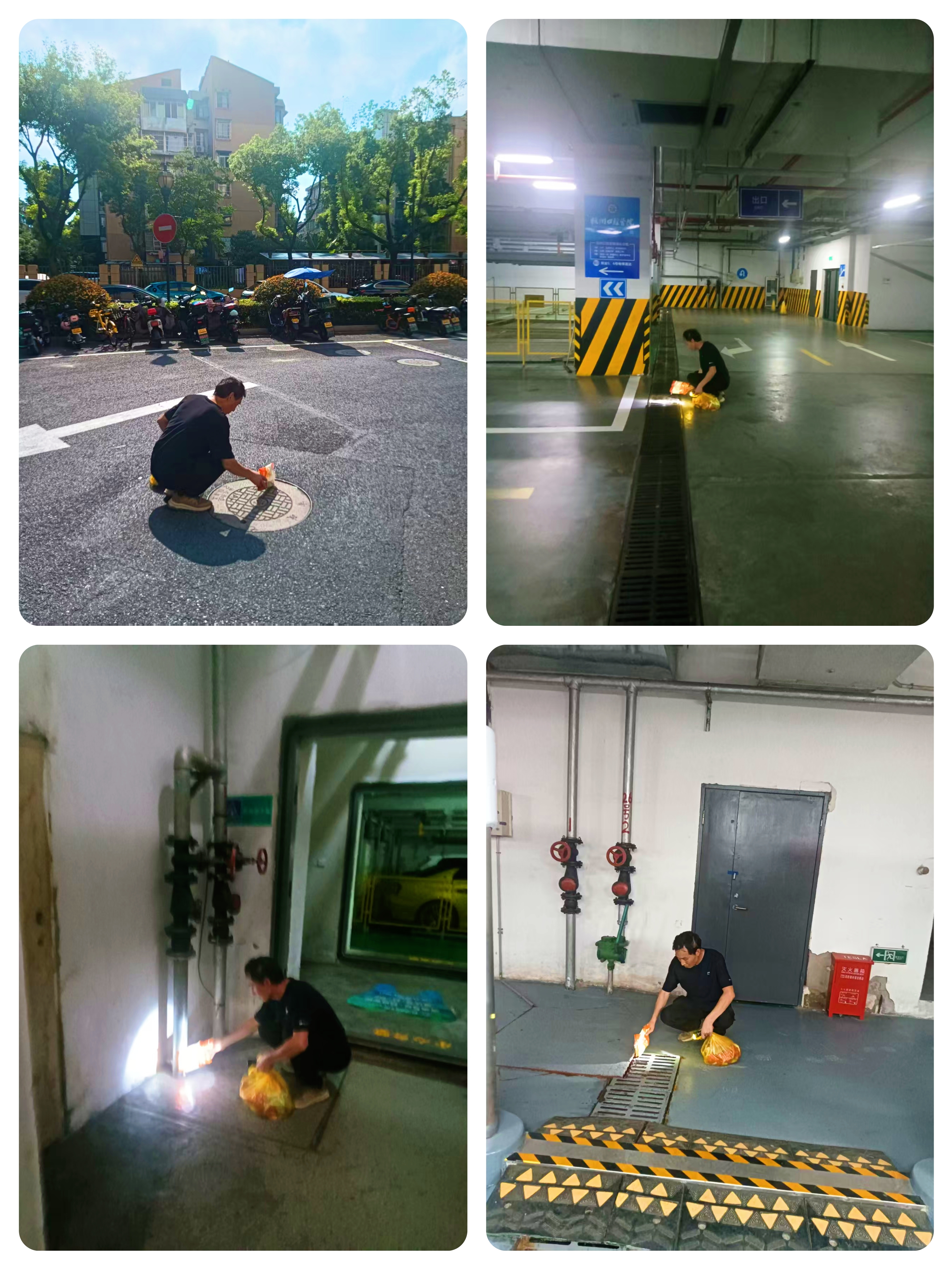 水晶城開展“清積水、除四害”專項(xiàng)行動 筑牢健康防線