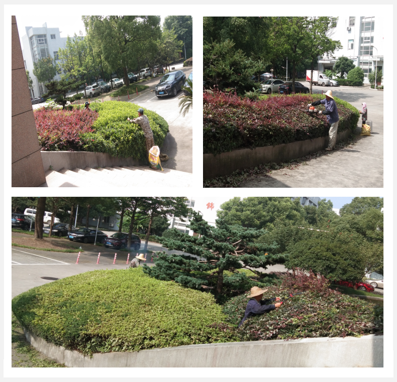 美化綠化，我們在行動      