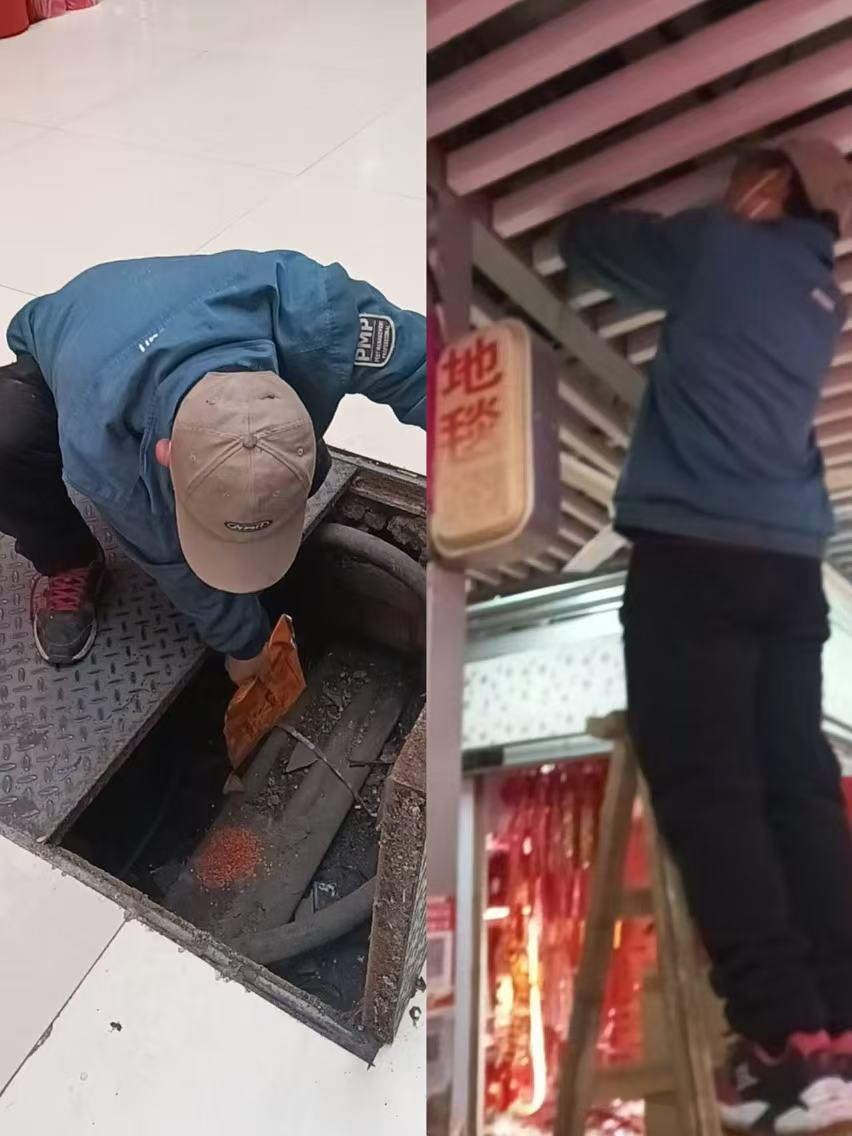 春季打響健康保衛(wèi)戰(zhàn)?錢江商城除四害在行動(dòng)