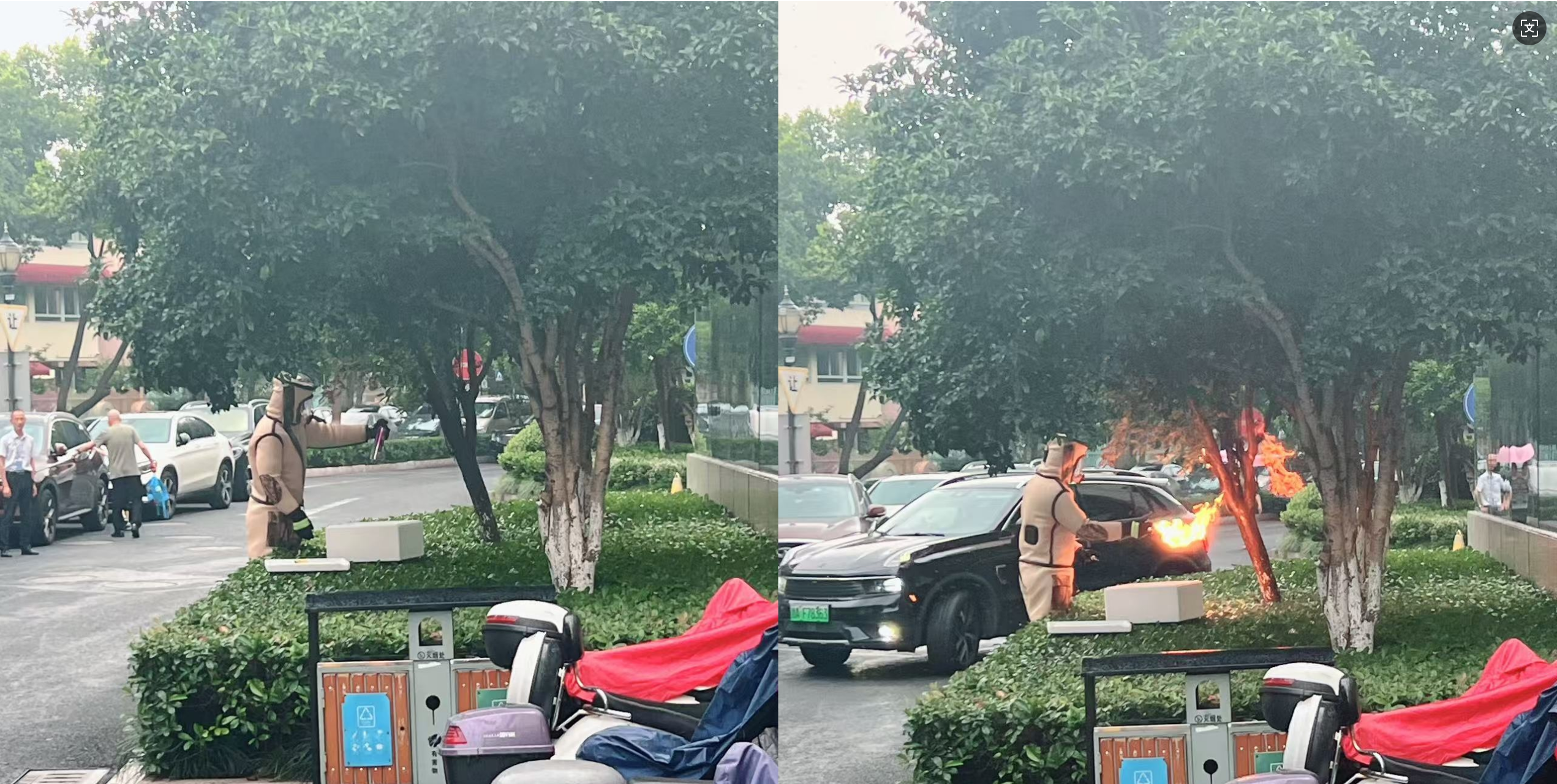 安全守護(hù)零距離，水晶城快速處置外圍蜂群隱患