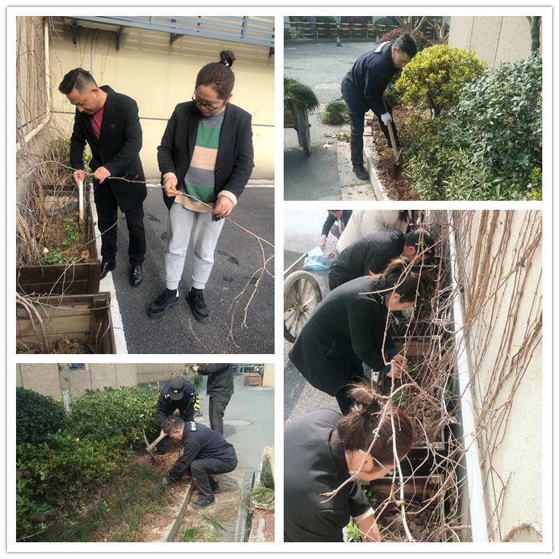 春季綠化正當(dāng)時——建華文創(chuàng)集團(tuán)扎實(shí)開展環(huán)境提升